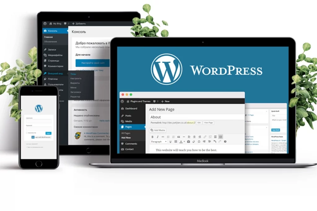 Website auf WordPress